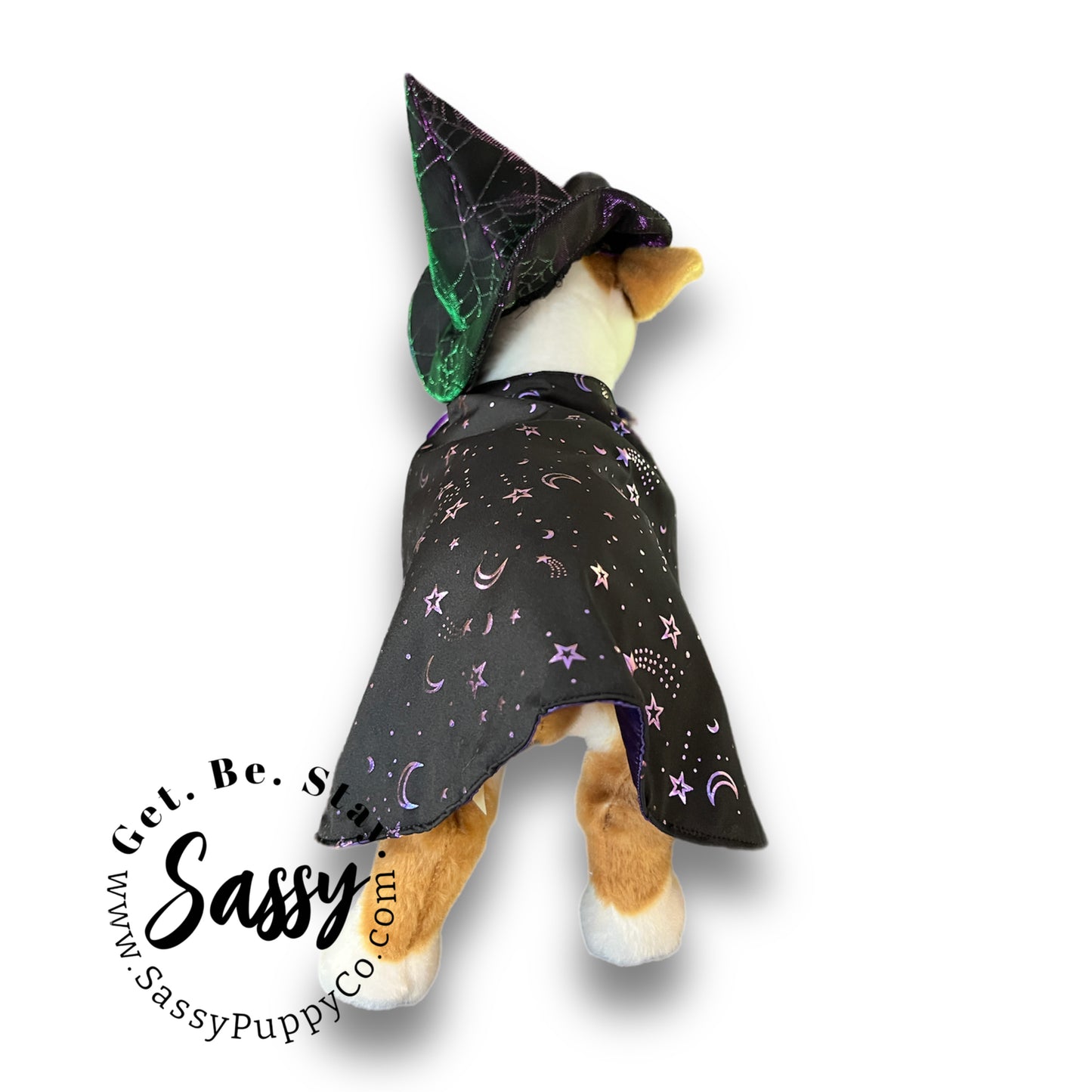 Flashy Witchy Costume for Dogs