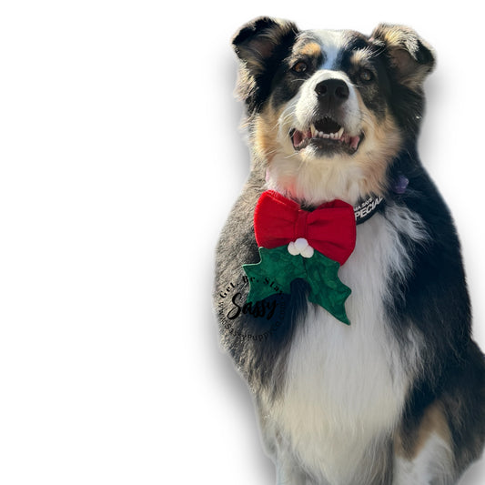 Christmas Kisses Phat-Tie