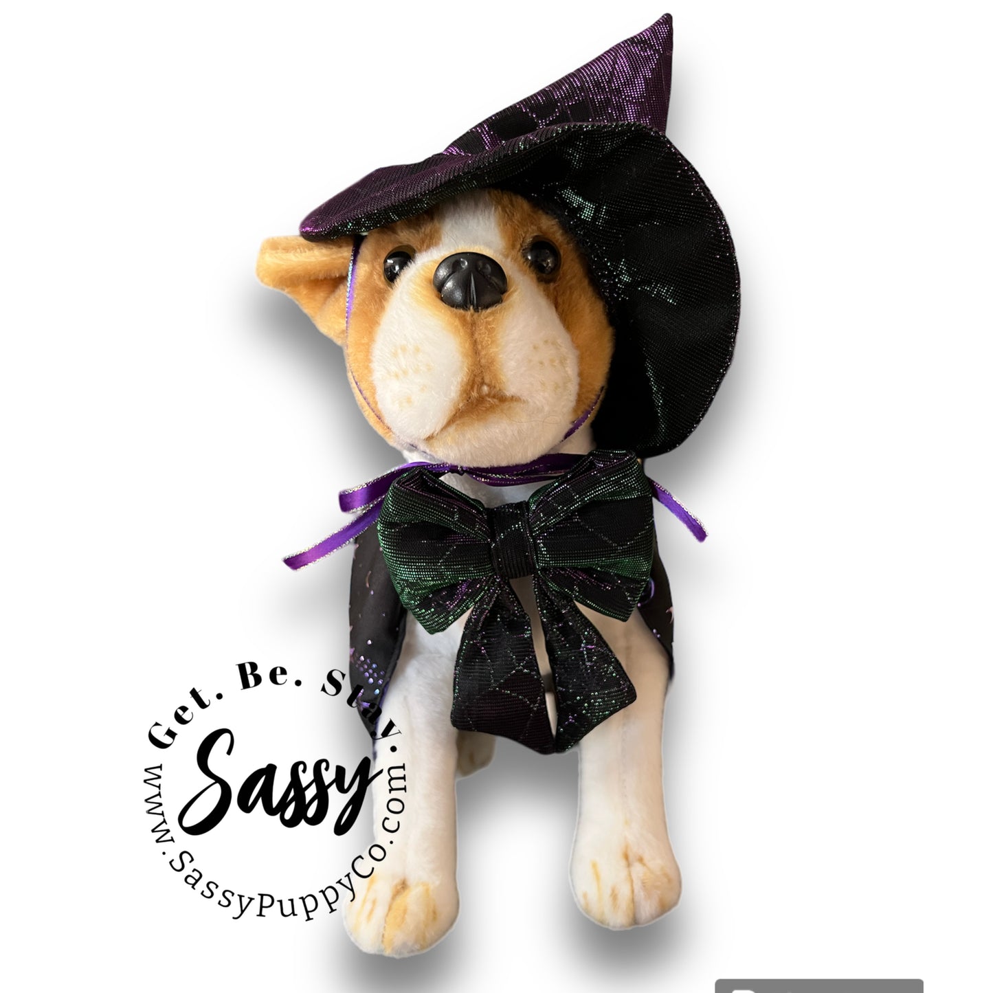 Flashy Witchy Costume for Dogs