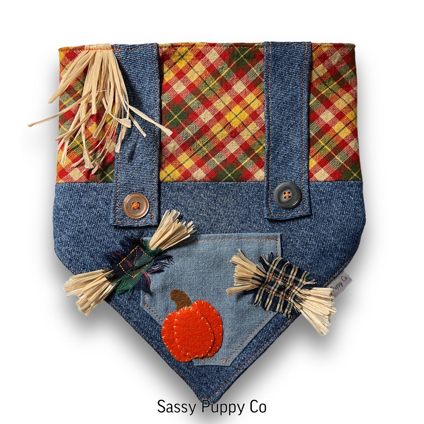 The Scarecrow Snapdana