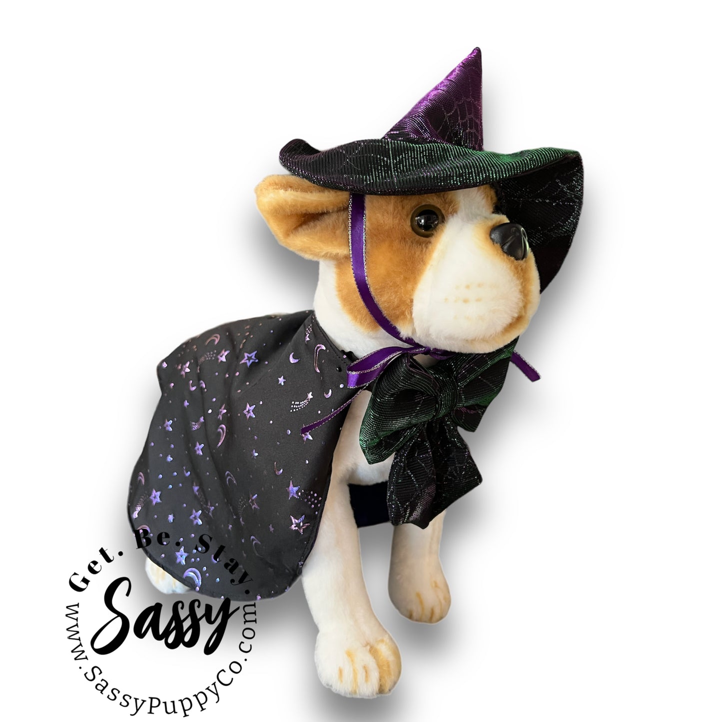 Flashy Witchy Costume for Dogs