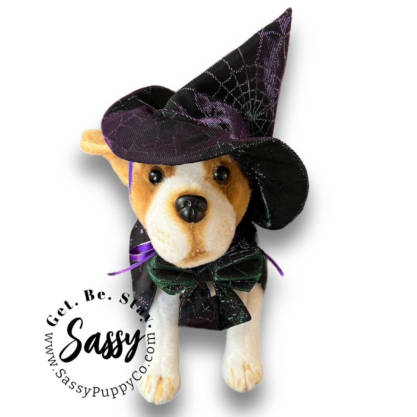 Flashy Witchy Costume for Dogs