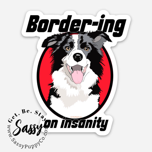 Border-ing On Insanity Sticker