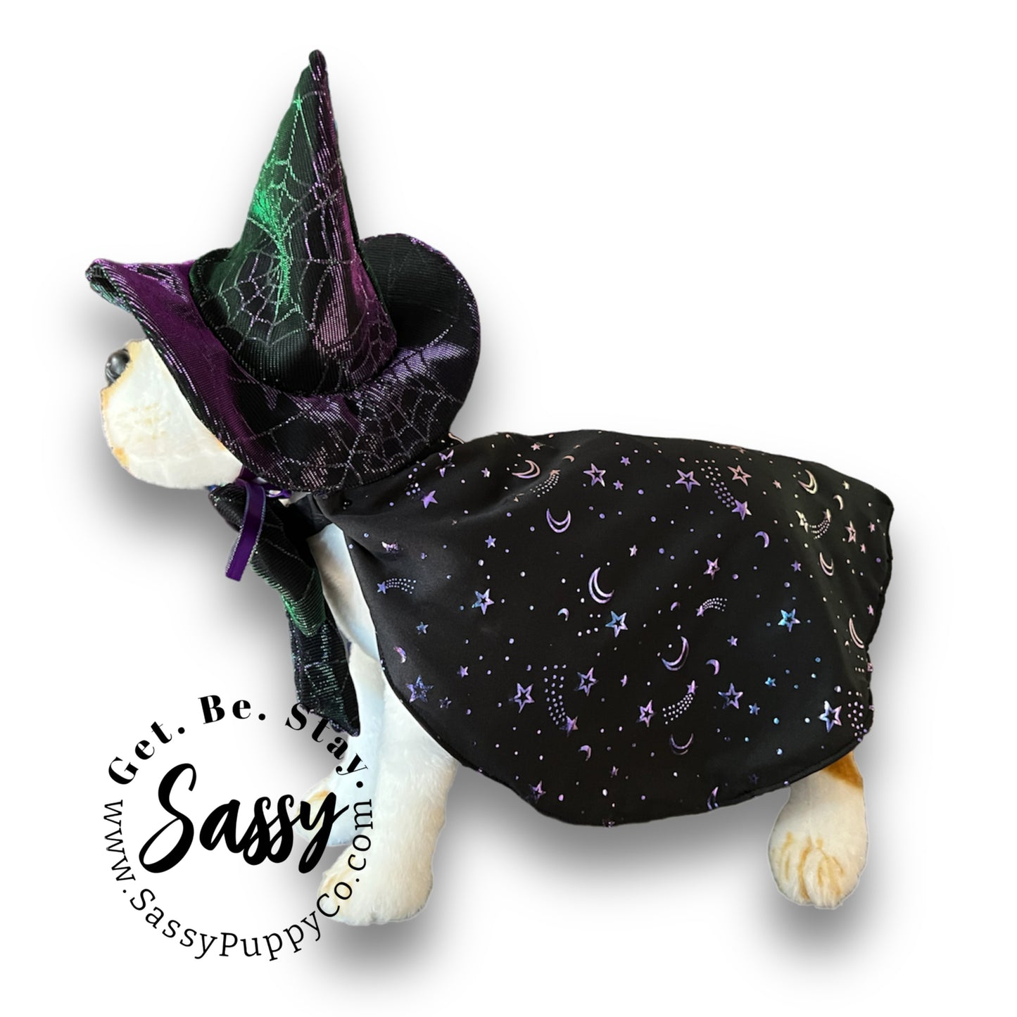 Flashy Witchy Costume for Dogs