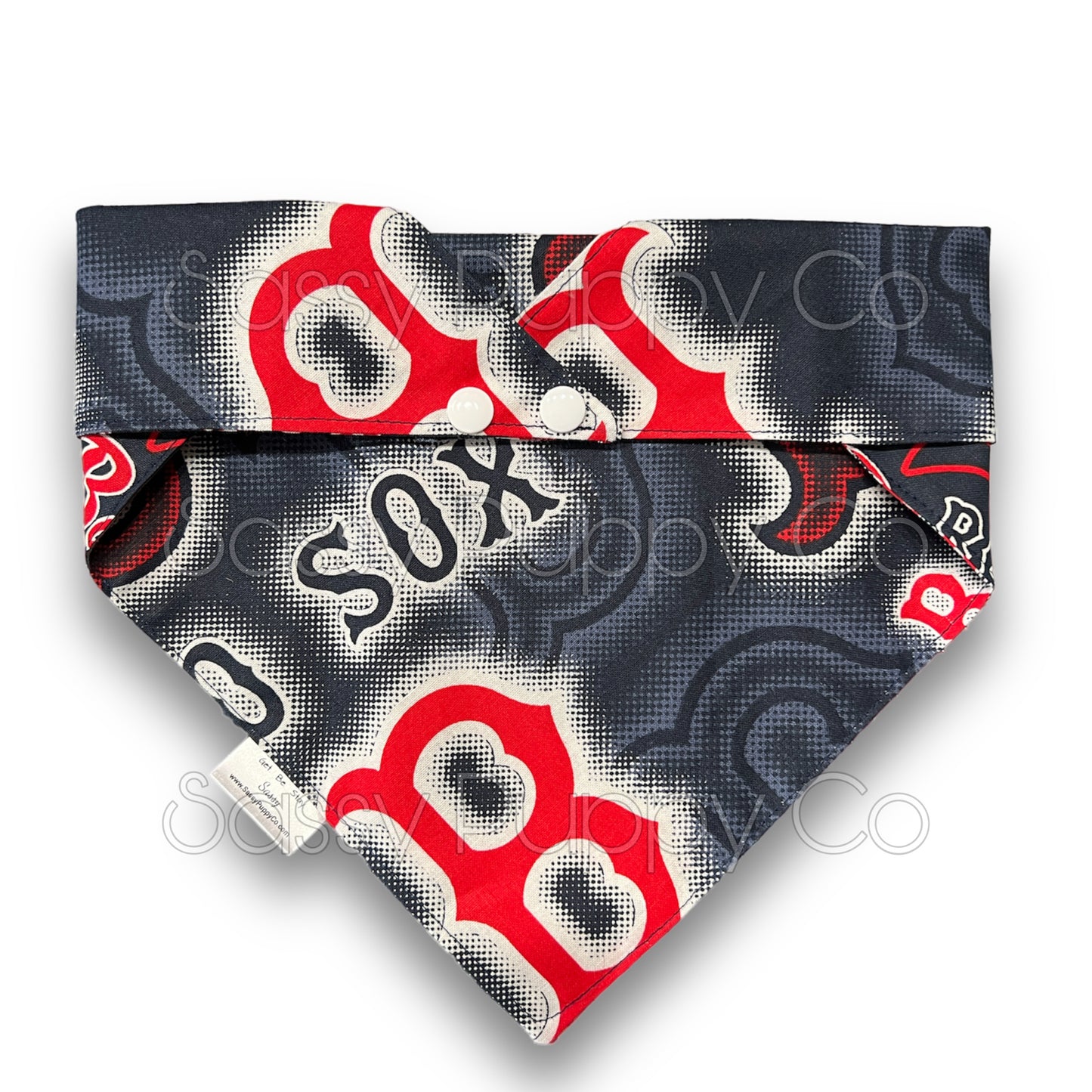 Home Team Snapdana